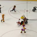 mascot_hockey-01