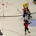 mascot_hockey-05