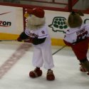 mascot_hockey-08