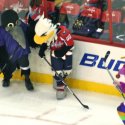 mascot_hockey-10