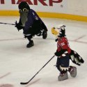 mascot_hockey-11