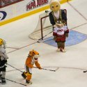 mascot_hockey-13