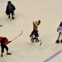 mascot_hockey-15