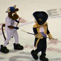 mascot_hockey-16
