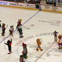 mascot_hockey-17