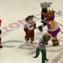 mascot_hockey-18