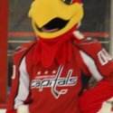 slapshot_red-2
